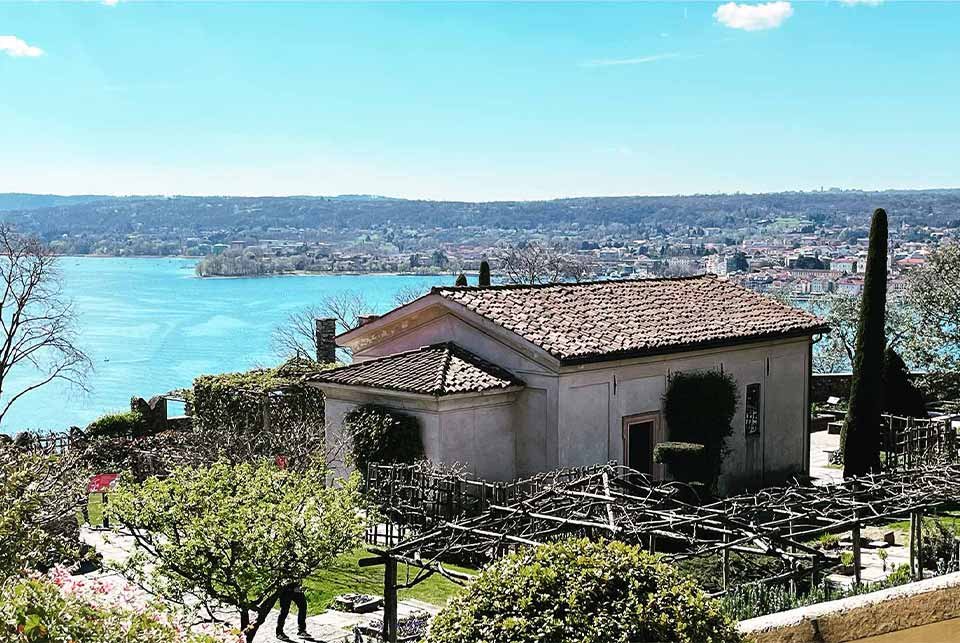 Vineyard on the shore of Lake Maggiore