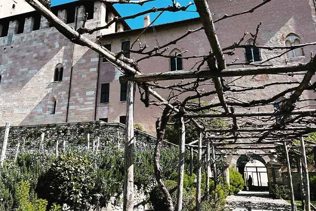 A vineyard on Lake Maggiore