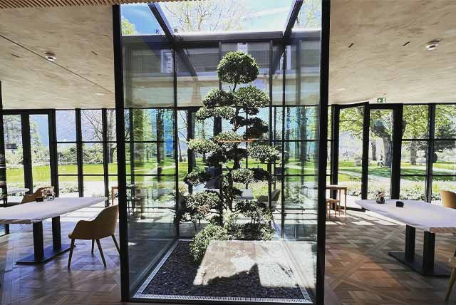 Glass column with a bush growing inside