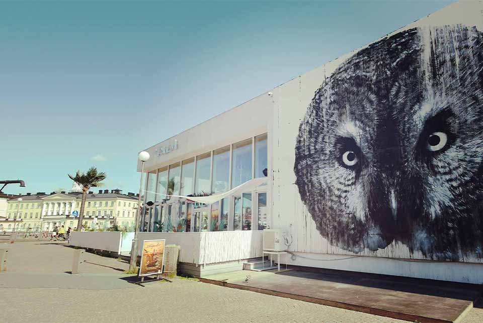 Owl mural on a wall in Helsinki