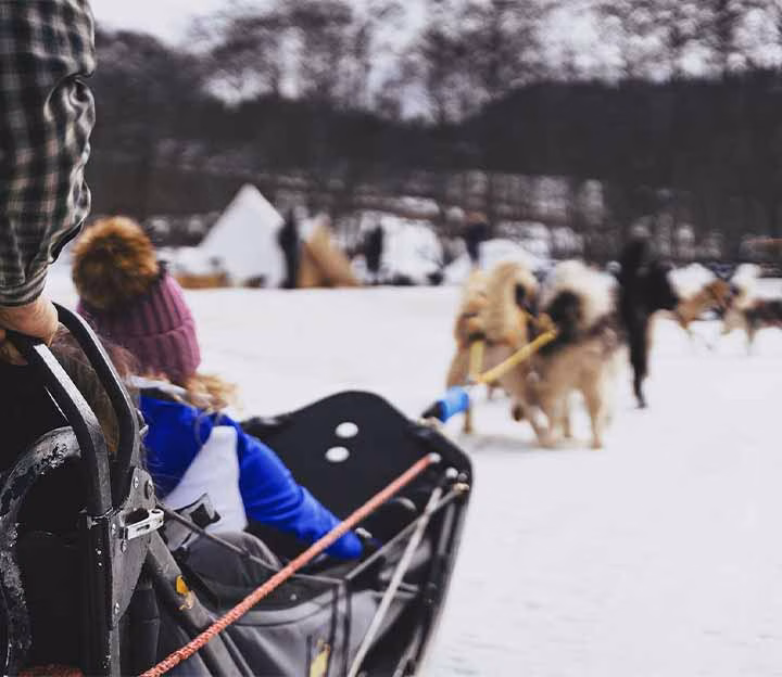 Person on a husky ride