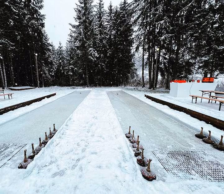 Curling lanes in a snowy forest