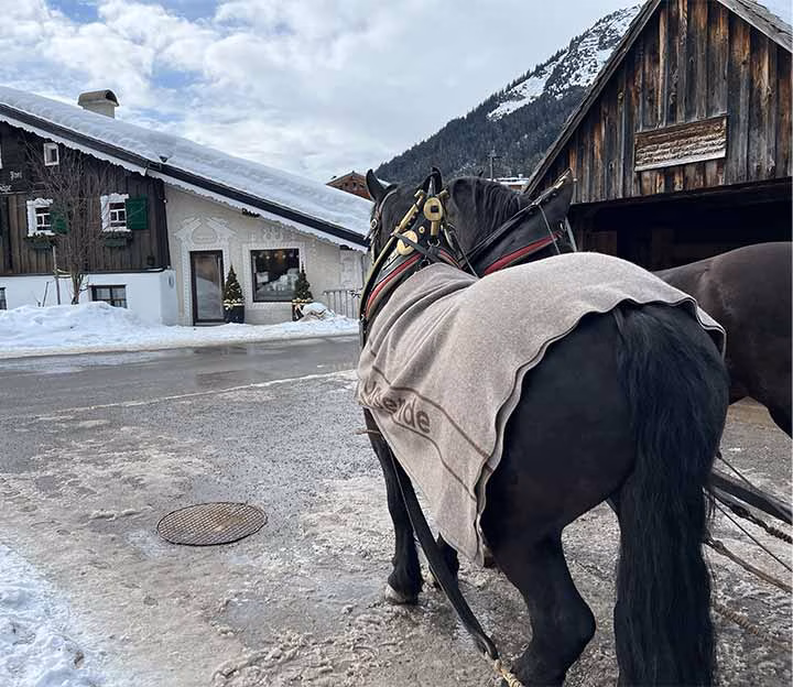 Horse drawn carriage in Lech