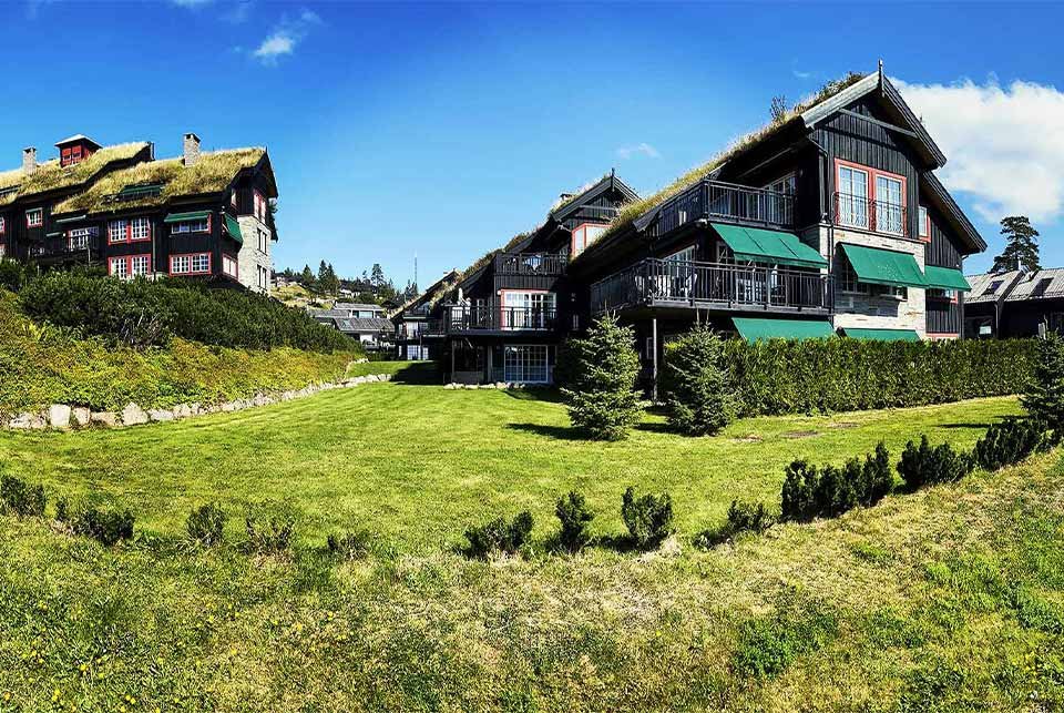 Grass roofed villas in Oslo