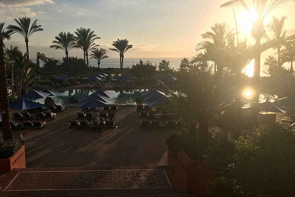 Sunset behind palm trees on Tenerife