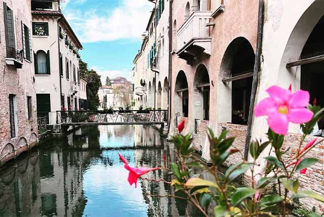 Flowers on a bridge over a canal in Treviso
